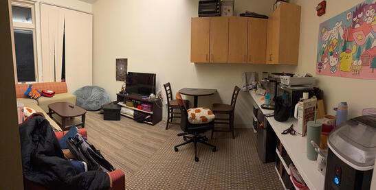 GV No Kitchen Global Village apartment living room without kitchen